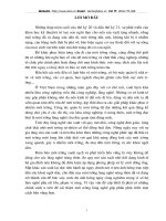 Tổng quan vè giải pháp về làng nghề nông thôn VN.doc