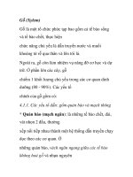 giới thiệu về Gỗ (Xylem)
