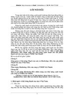 Giải pháp marketing cho hoạt động cạnh tranh của công ty Việt Thành.DOC