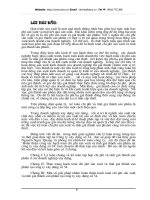 Một số giải pháp nhằm hoàn thiện hạch toán chị phí sx và tính giá thành sp công ty xây dựng 34.doc