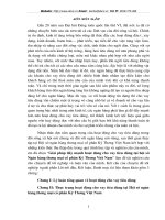 Giải pháp hoạt động cho vay tieu dùng tại hội sở ngân hàng thương mại.doc