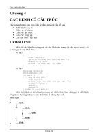 Các lệnh có cấu trúc