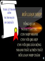 Roi loan nhip.pdf