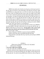 Một số biện pháp nhằm tăng hiệu quả thu BHXH tại Hải Dương.doc.DOC