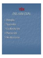 GPB - viem Quan Y.pdf