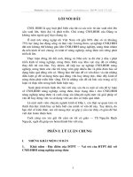 thực trạng đầu tư và giải pháp CNH, HĐH ở nông thôn