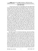 Định hướng phát triển đầu tư tỉnh Thái Bình.doc