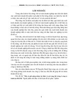 Một số biện pháp nhằm mở rộng thị trường của cty bánh kẹo hải Hà.doc.DOC