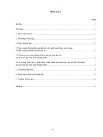 BÀI TẬP NHÓM MÔN ĐƯỜNG LỐI.doc