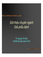 GPB dai cuong QY.pdf