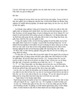 Hinh thai tu ban.doc