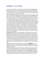 Hồ Chí Minh - sự tiếp biến văn hóa.doc