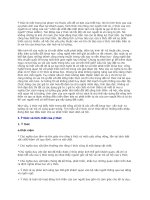 Ý thức trong phạm trù triết học