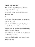 Các biểu hiện của sự sống.