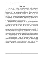 Tổ chức kế toán bán hàng và xác định kết quả bán hàng ở công ty cổ phần thuốc lá và chế biến thực phẩm Bắc Giang.doc