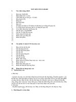 máy kéo dài SaH-600.doc