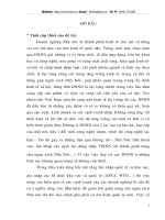 Một số giải pháp đẩy nhanh tiến độ hóa cổ phần DNNN trên địa bàn tỉnh Hà Tây.doc