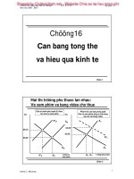 Can bang tong the va hieu qua kinh te.pdf
