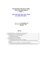 Bao mat du lieu may tinh cua mot to chuc.doc