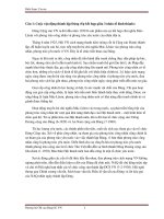 Ôn thi đường lối