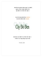 BaoCaoCayDoDen.doc