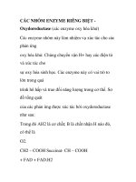 Các nhóm enzyme riêng biệt - Oxydoreductase