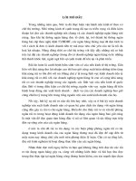 Giải pháp hạn chế rủi ro tín dụng ở ngân hàng công thương hoàn kiếm.doc.DOC