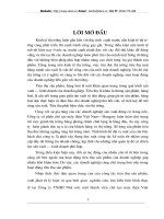 Một số biện pháp thúc đẩy tiêu thụ hoạt động tại công ty cổ phần Vn-hungary.doc.DOC