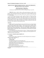 Co_dinh_enzyme_amylase