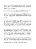  Trở về cội nguồn minh triết Việt