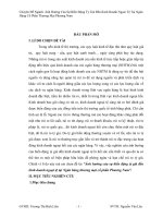 Ảnh hưởng của sự biến động tỷ gi hN.doc