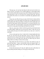 TÌM HIỂU MỘT SỐ VẤN ĐỀ VỀ CHIẾN LƯỢC KINH DOANH.doc.DOC