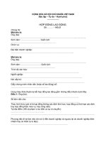                                           HỢP ĐỒNG LAO ĐỘNG