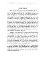 Kinh nghiệm và đề xuất phát triển nguồn nhân lực tại khách sạn Sofiel Metropol.doc