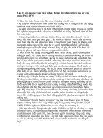 Nội dung cơ bản và ý nghĩa  đường lối kháng chiến của mỹ cứu nước 1965-1975 