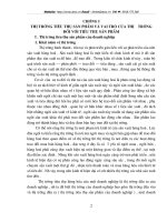 Vai trò của thị trường đối với tiêu thụ sản phẩm.doc.DOC