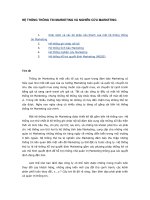 Chuong 2 - He Thong Thong Tin Marketing