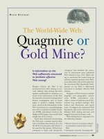 Quagmire or Gold Mine?