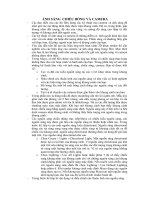 AnhSangCameraChieuBong.doc