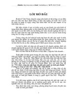 Tổ chức công tác tập hợp chi phí sx và tính giá thành ở công ty Cầu Nai- Hưng Hà- Thái Bình.doc