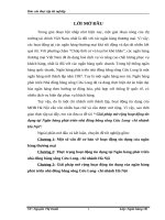 Giải pháp mở rộng hoạt động tín dụng tại Ngân hàng phát triển nhà đồng bằng sông Cửu Long- chi nhánh Hà Nội.doc