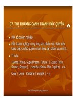 Thi truong canh tranh doc quyen.pdf