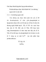 Giai đoạn thành lập phức hợp prothrombinase
