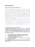 Việt hóa phần mềm