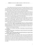 Một số giải pháp nhằm mở rộng thị trường tiêu thị tại công ty LG-Mega.doc.DOC