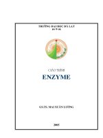 Giao trinh enzyme