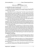 Tổng quan mạng thế hệ sau NGN.doc