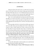 Hoàn thiện hoạt động Marketing nhằm đẩy mạnh công tác tiêu thụ sản phẩm tại công ty TNHH Thương Mại  và Dịch Vụ Siêu Thị Tại Nhà.DOC