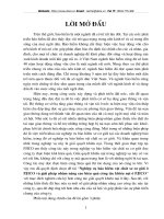 Nghiệp vụ bảo hiểm vật chất xe cơ giới PJICO.doc.DOC