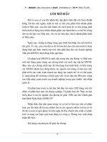 Một số kiến nghị giải pháp nâng cao hiệu quả cổ phần hoá tại HACIMEX.DOC